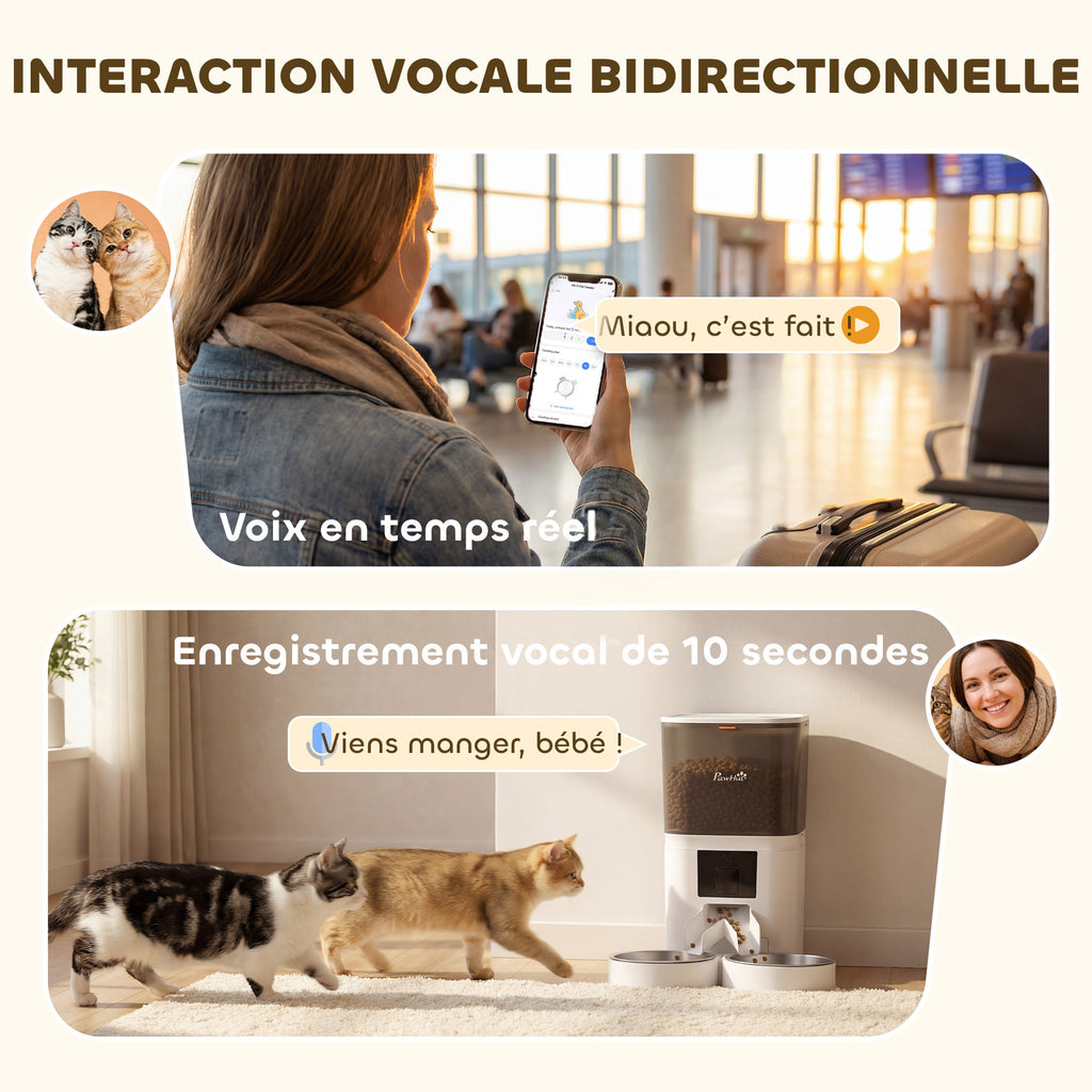 Distributeur Croquettes Chat Automatique 6L, Double Bol Inox, Contrôle par App, Alimentation de Secours, 37x36x35cm, Blanc